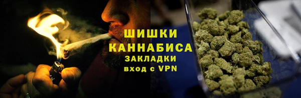PSILOCYBIN Вязники